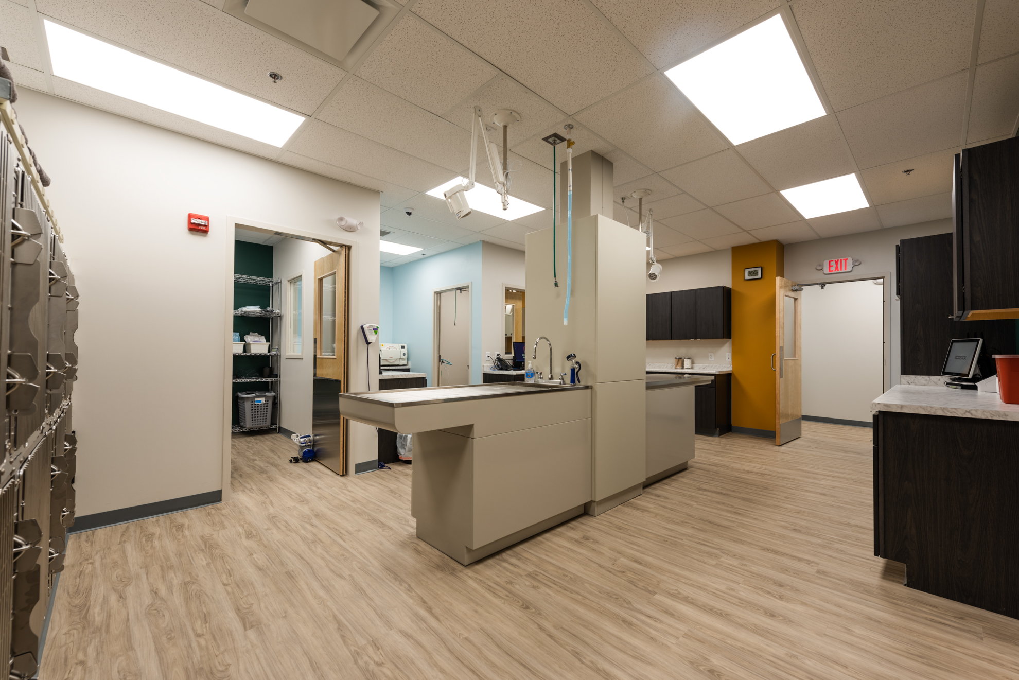 Milwaukee Veterinary Clinic Explore